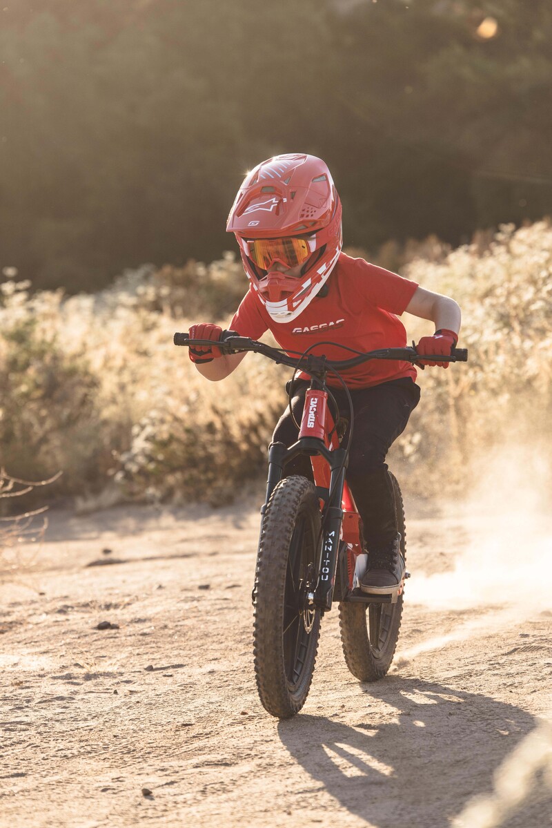 2024 GASGAS MC-E 1 range