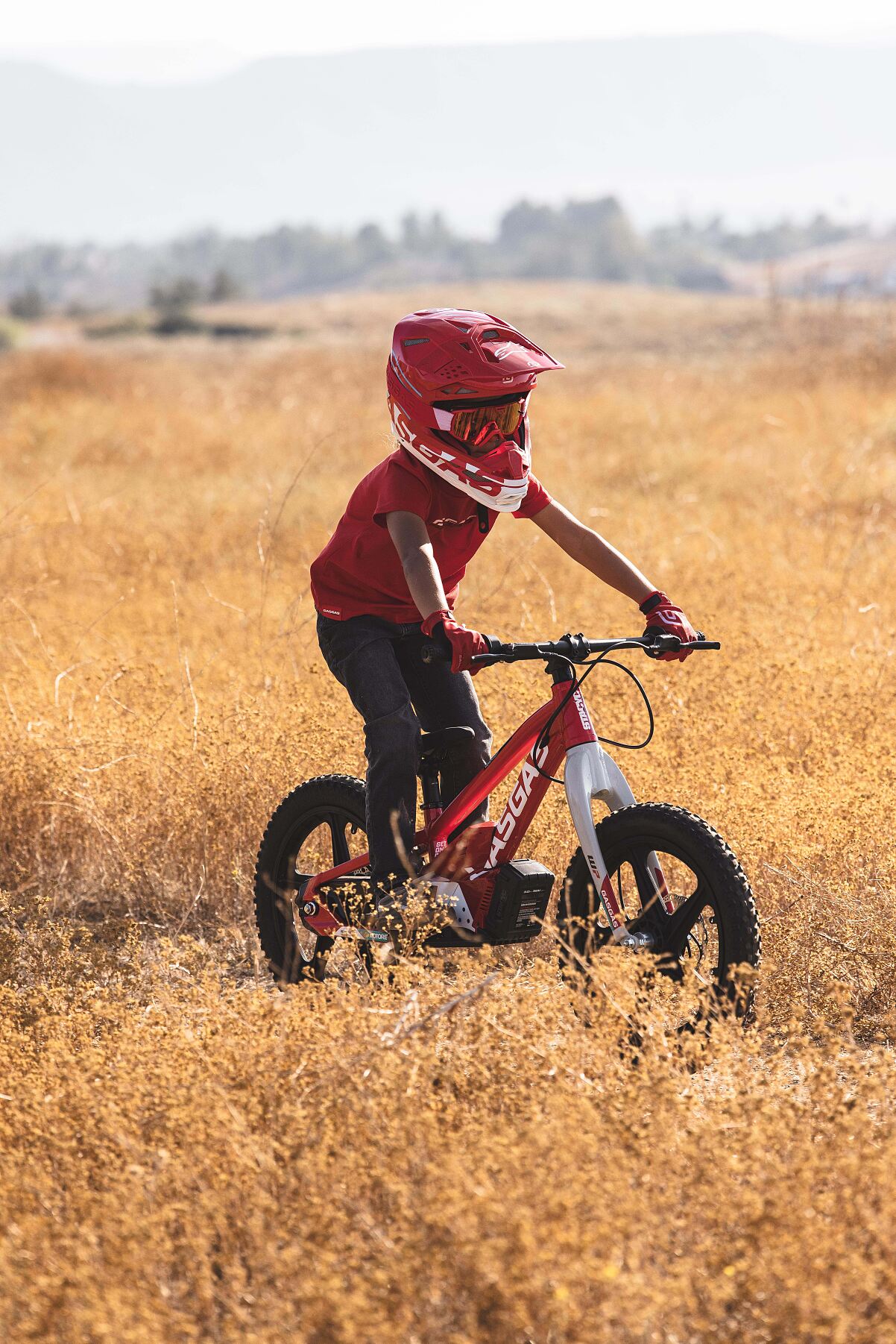 2024 GASGAS MC-E 1 range